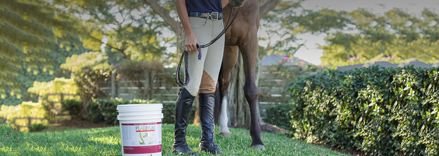 Horses Wellness Foundations Feature Story Platinum Performance Equine