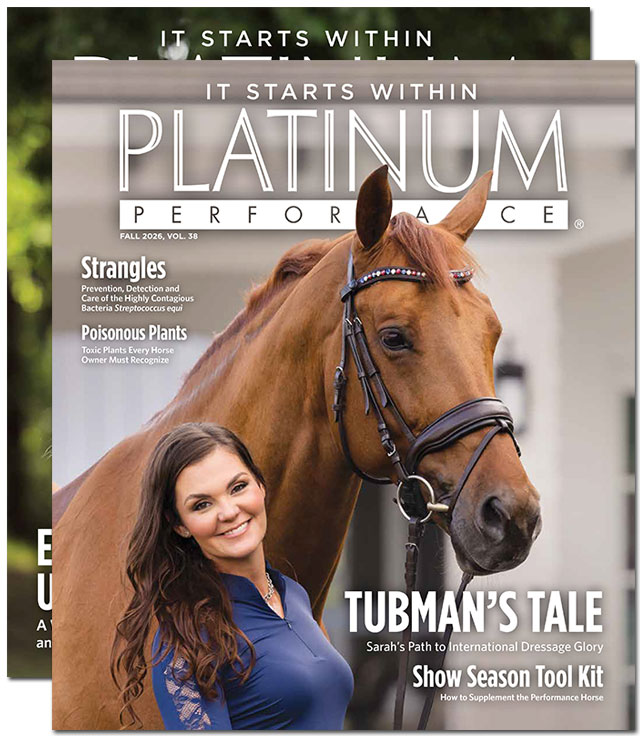 Platinum Magazines