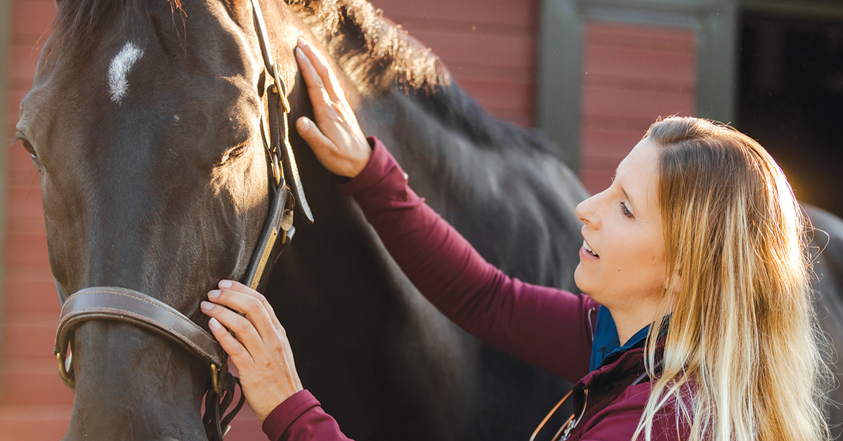 Woman gently touching a dark horse wearing a halter