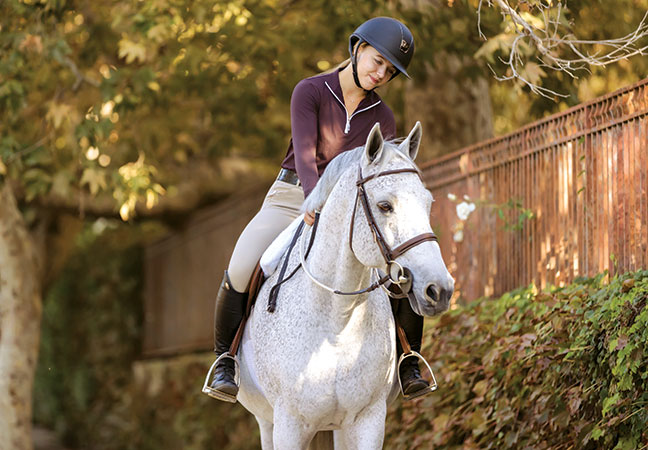 equine metabolic issues