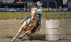 equipping the equine athlete