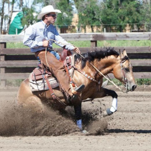 Sheza Shinette | Working Cow Horse