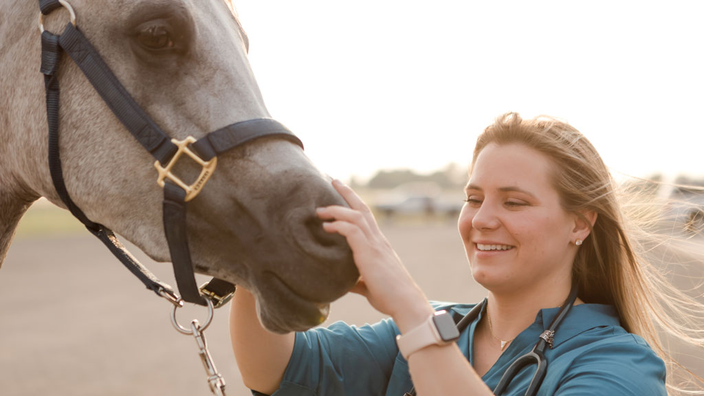Veterinarian in a teal shirt gently touching a gray horse’s muzzle
