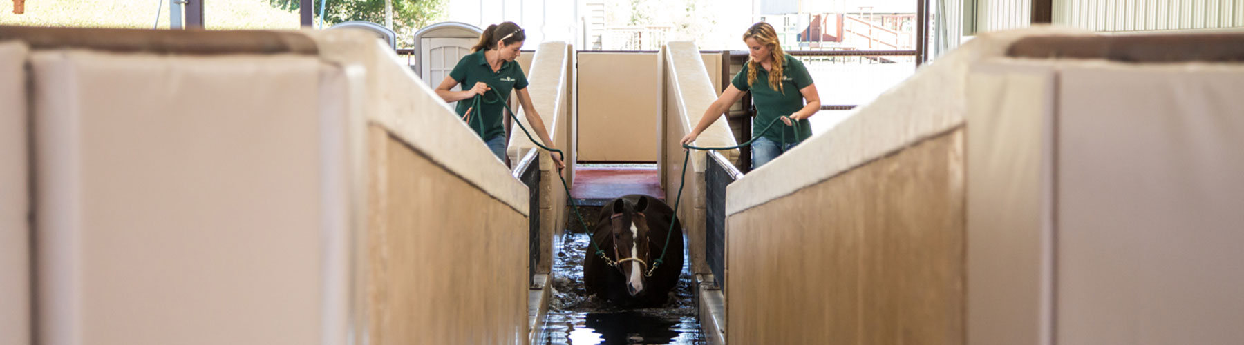 Platinum advisor with her horse