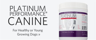 platinum performance canine cj