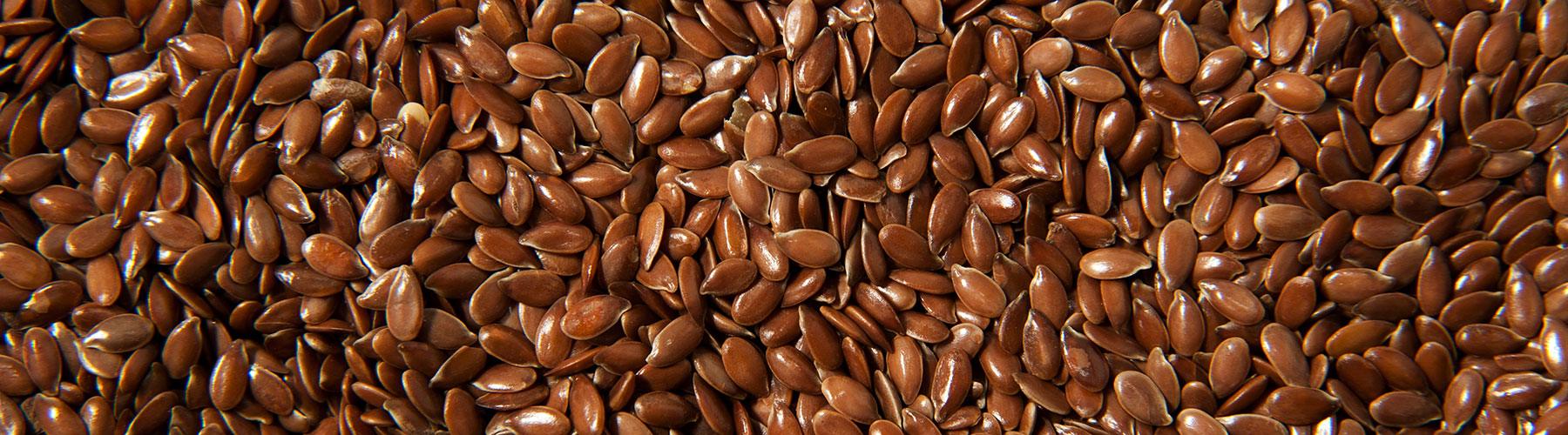 flax seeds