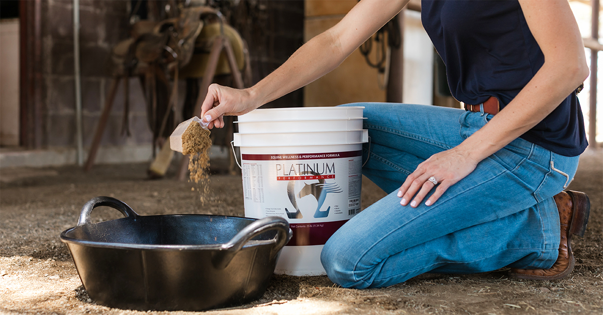 Tips for Feeding a Picky Horse