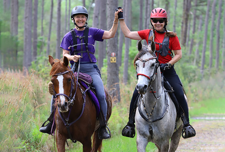 Endurance Horse Riding Sport