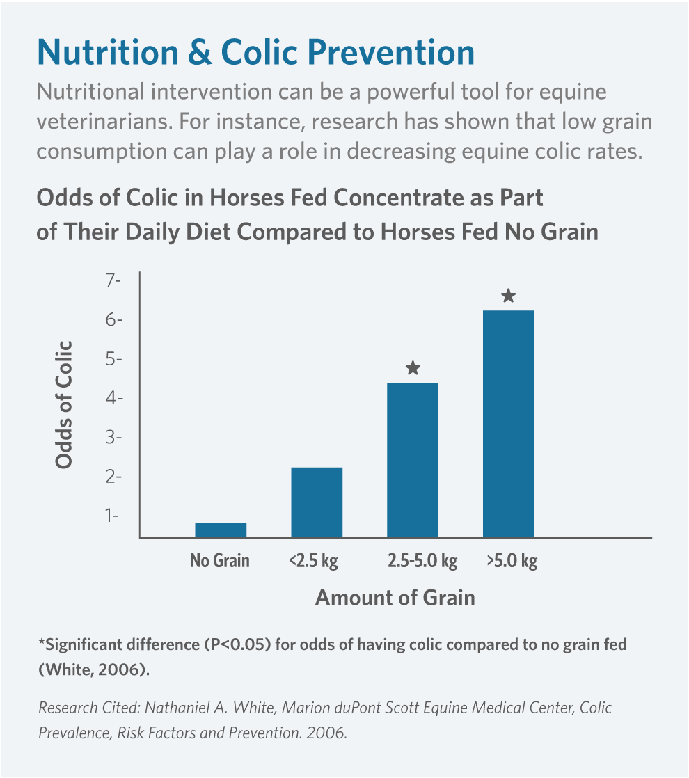 The Power of Nutrition in Prevention