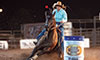 barrel racing veterinarians