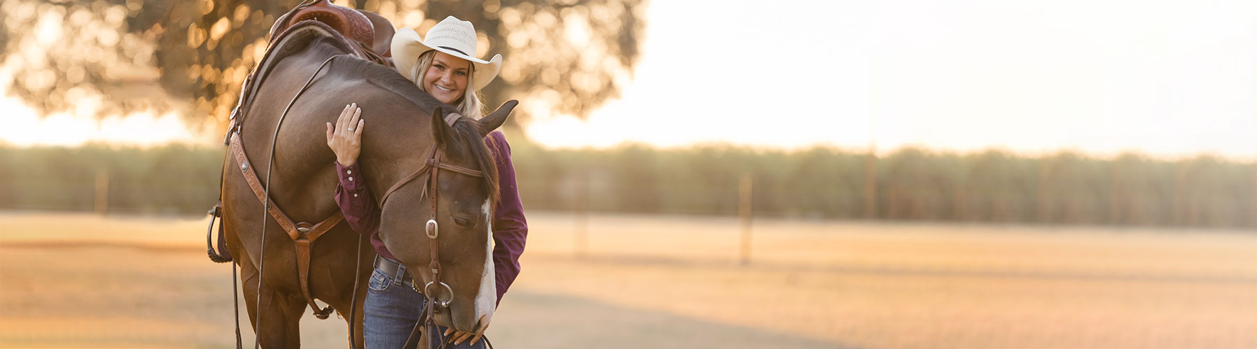 Horse Colic Colic Supplements for Horses