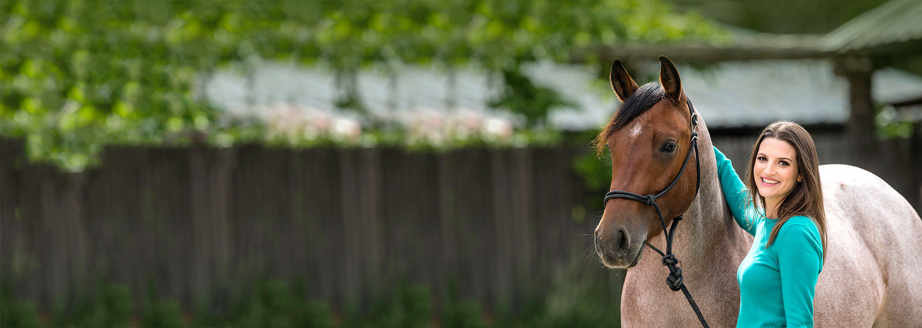 nutrition for horse health