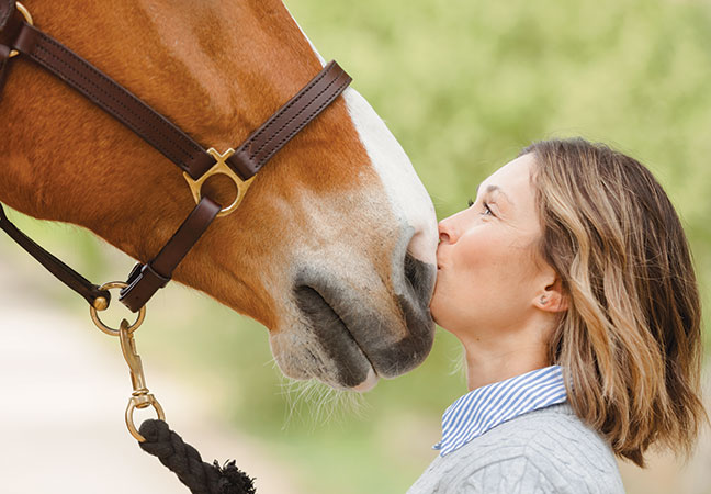draft horses