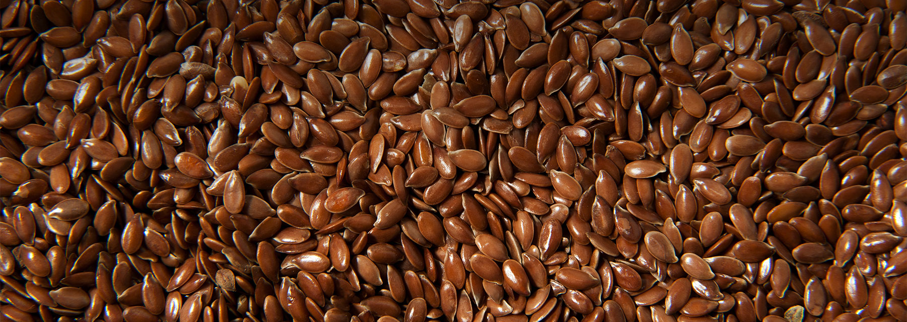 Nutritional Benefits of Flaxseed for Horses