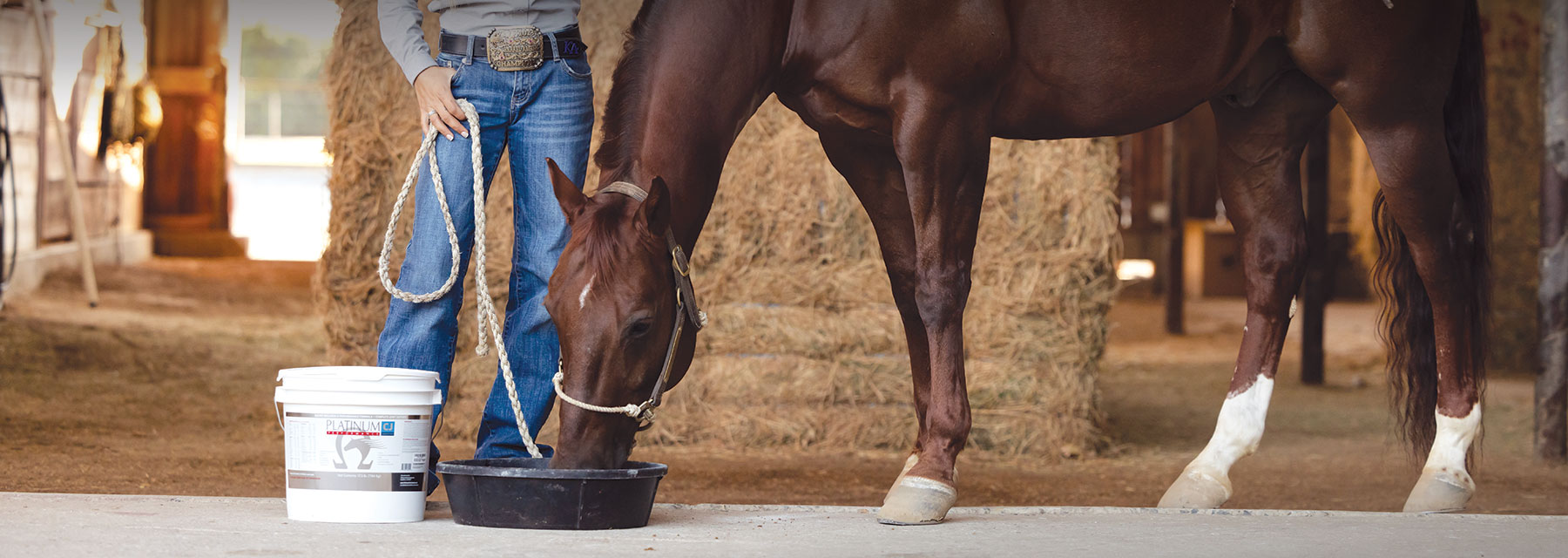 Does Platinum Make Horses Hot?