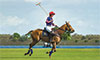 meghan gracida women's polo
