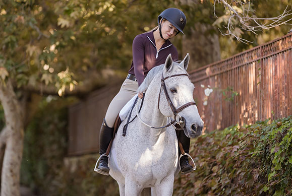 equine-metabolic-issues