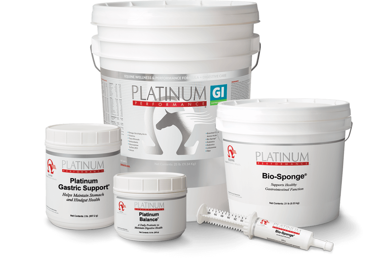 Horse Diarrhea Equine Diarrhea Supplements