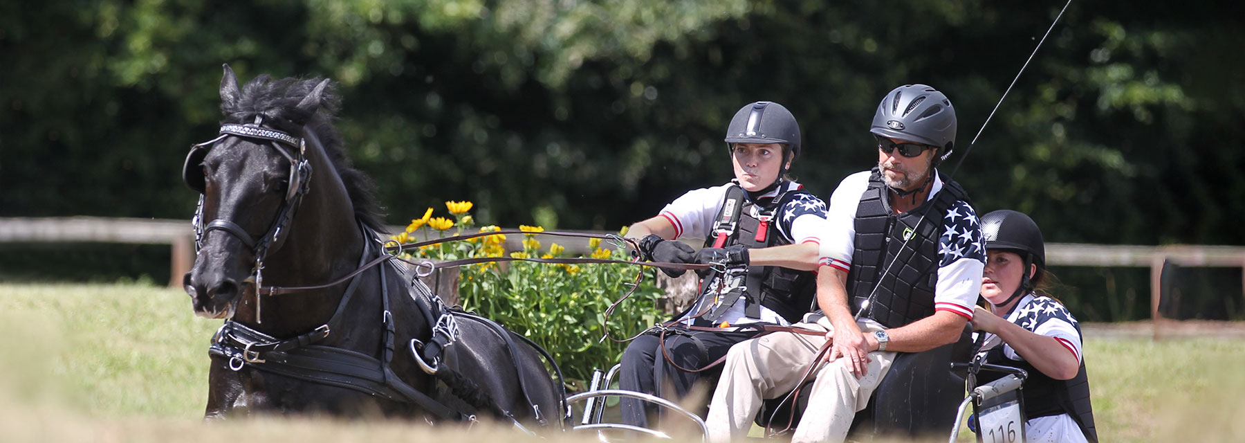 driving horses