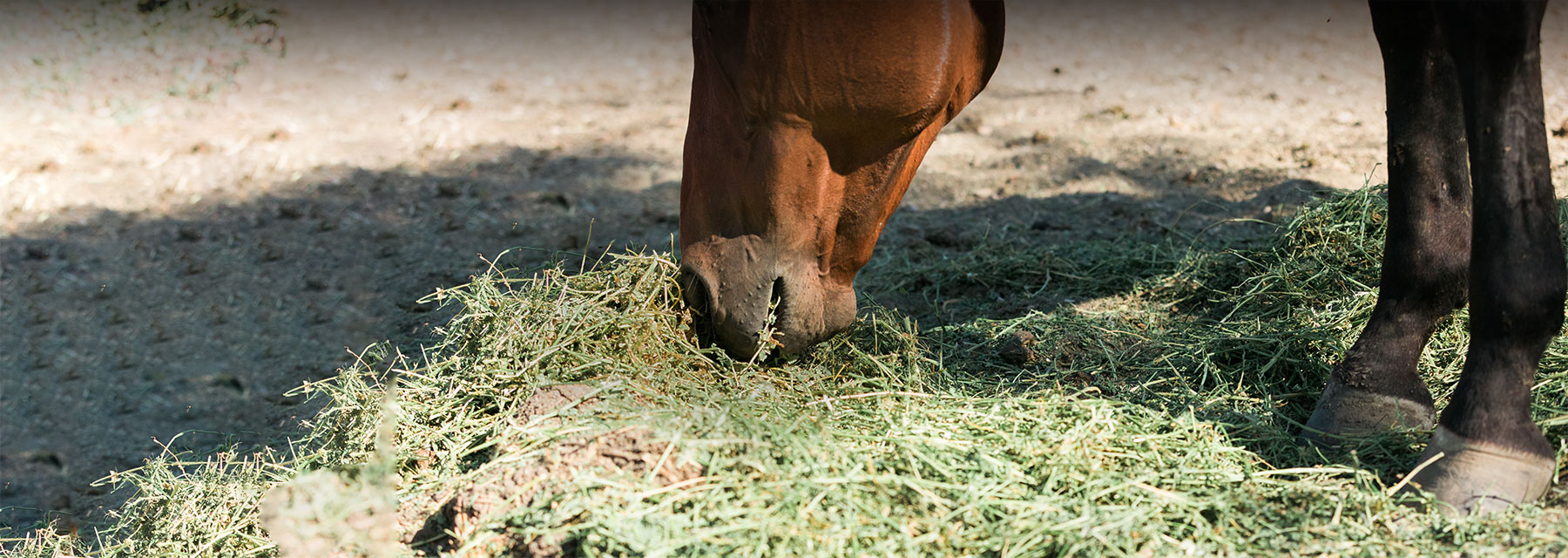 MOWING THE GRASS AND COMPLETING THE HORSE STABLE