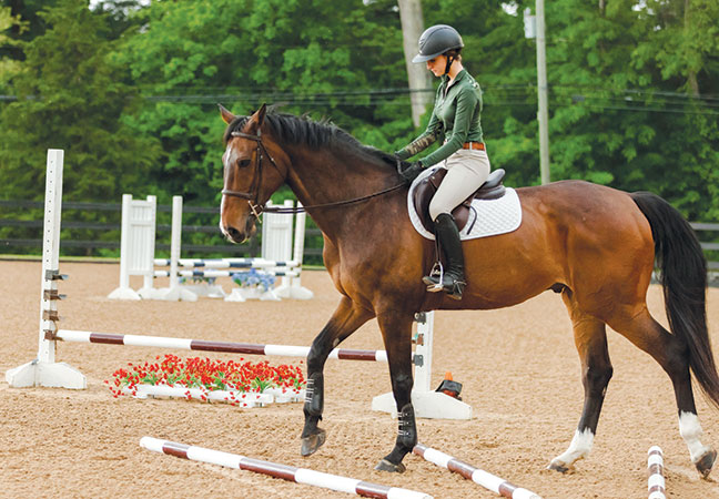 horses core fitness
