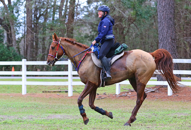 Holly Corcoran endurance horse competition