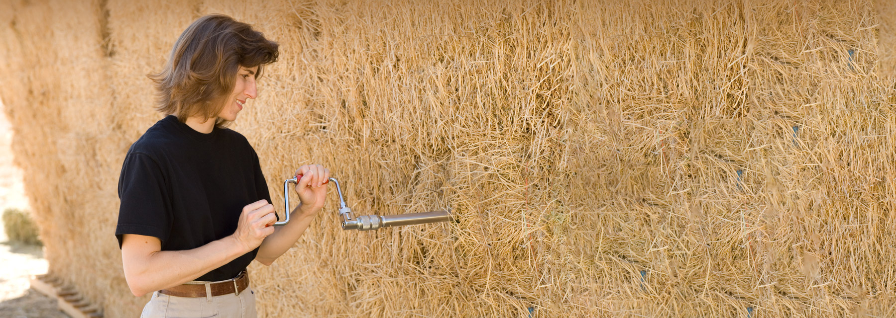 Understanding a Hay Analysis for Horses