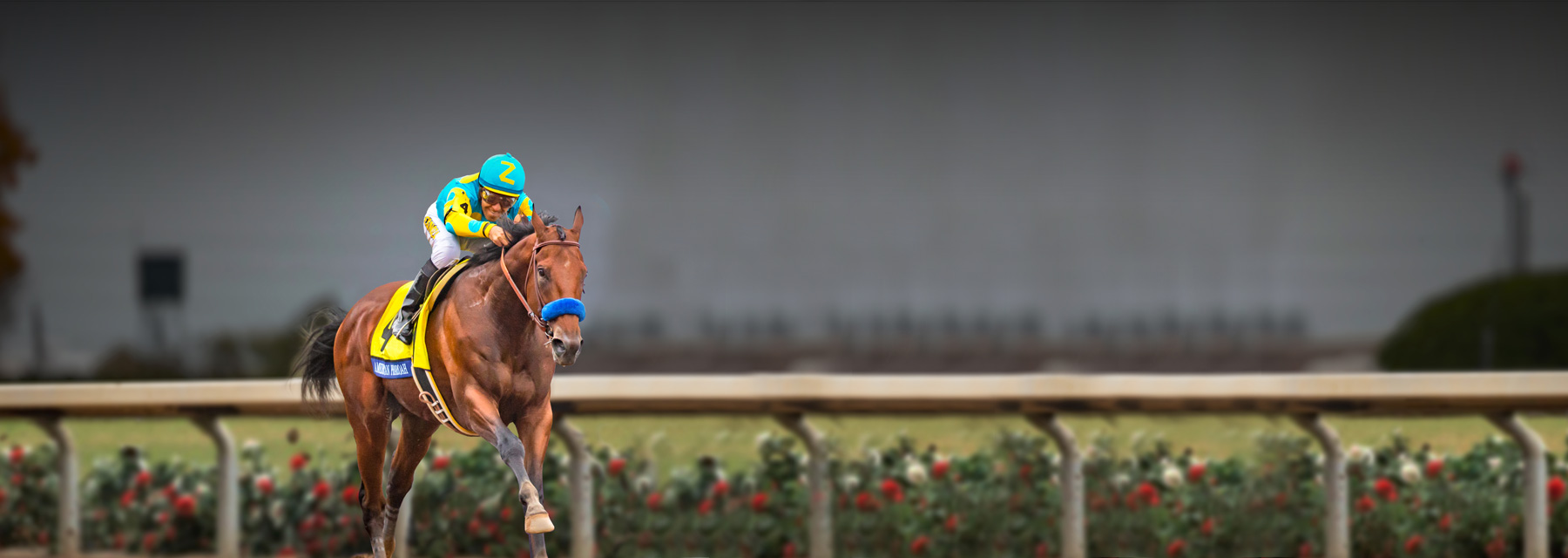 Bob Baffert | 2015 Triple Crown Winner | American Pharoah
