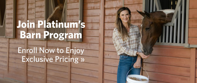Platinum Magazine - Read More