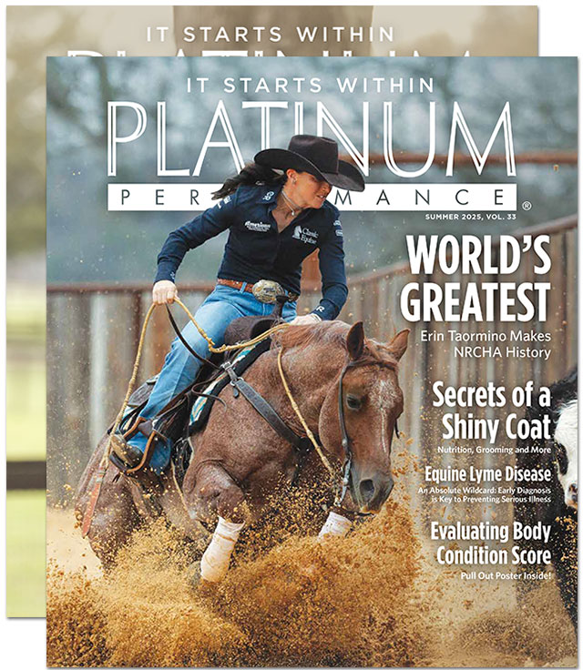 Platinum Magazines