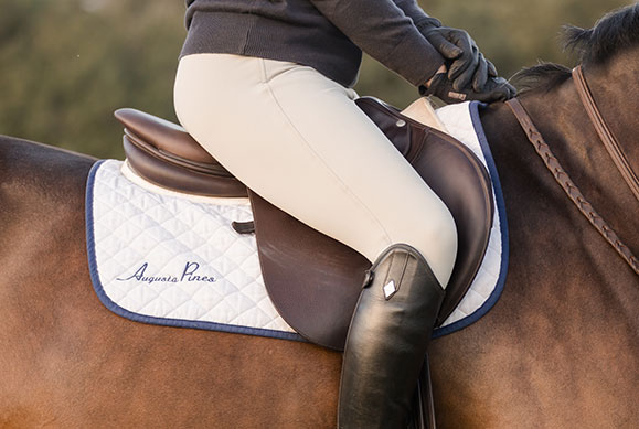 supplements for topline in horses