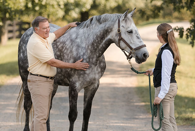 colicinhorses