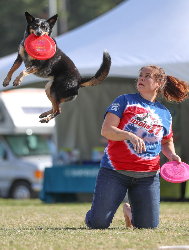 Frisbee TRIXIE DOG ACTIVITY