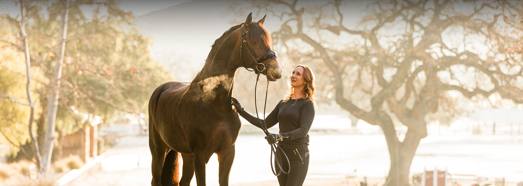 feeding horses in winter