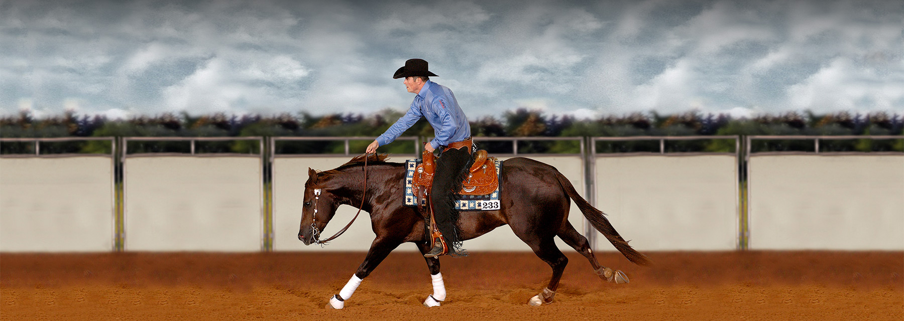 ADAM HENDRICKSON REINING