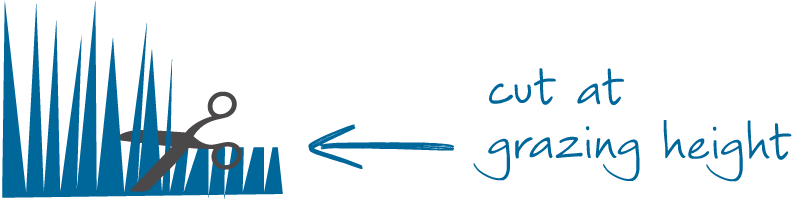 pasture step 3
