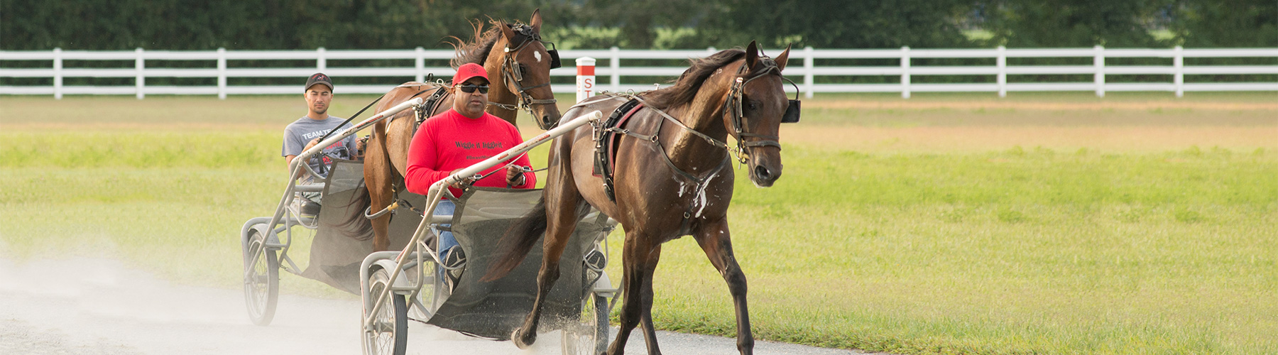 Platinum advisor with her horse