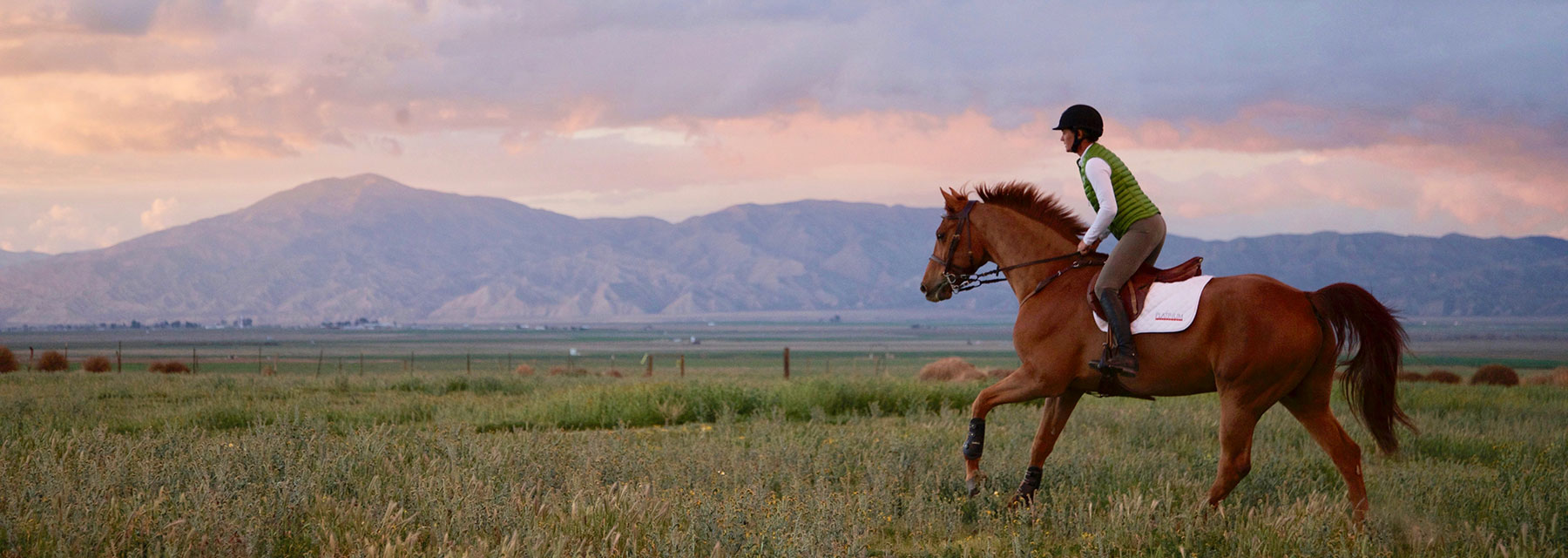 simple feeding for horses