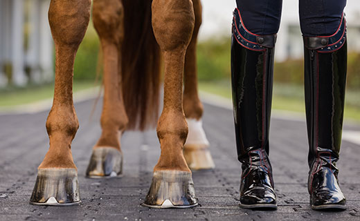 Mission: Hoof