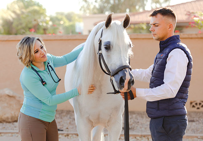 equine allergies