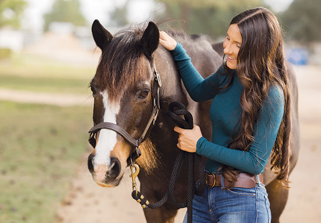 equine cushings disease