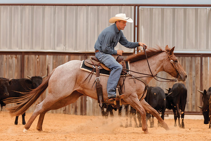 Rice Family | Boyd Rice and Sons