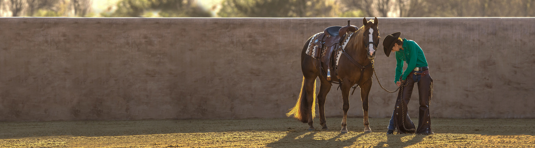 Horse Calming Supplements Equine Calming Supplement