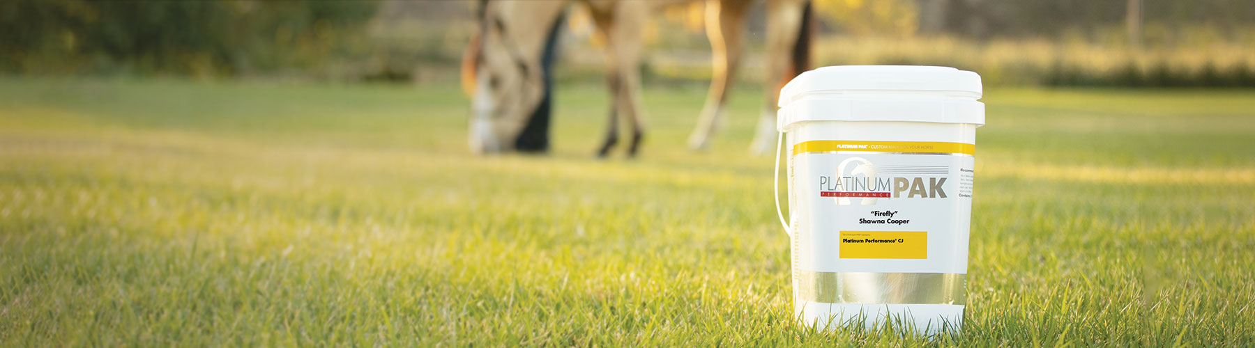 Equine Supplements Horse Nutrition Equine Health