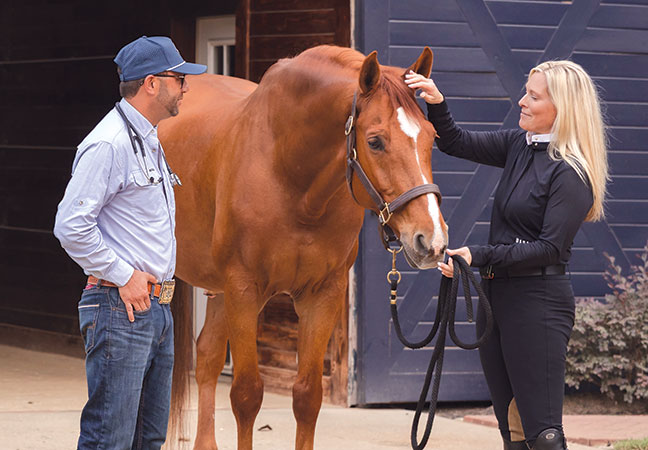 equine liver disease