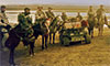 horse soldiers