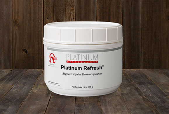 Platinum Refresh bucket