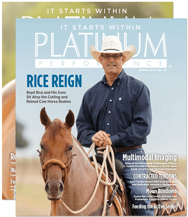 Platinum Magazines