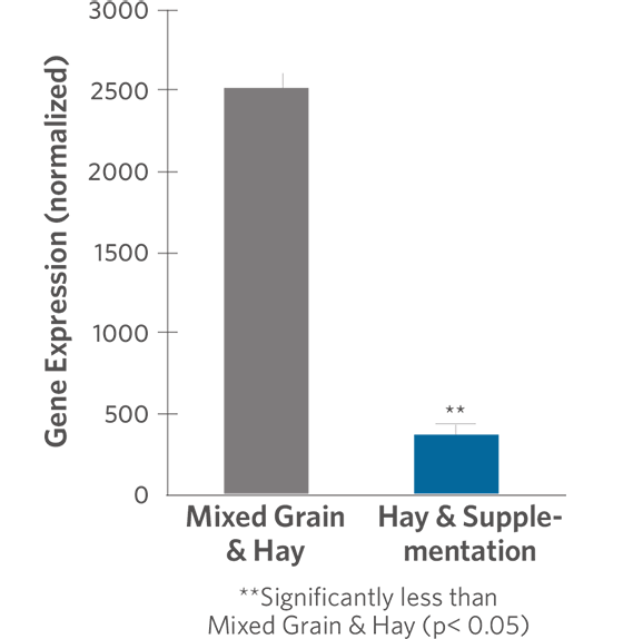 IL-6 Gene Expression in Horses Consuming a Hay