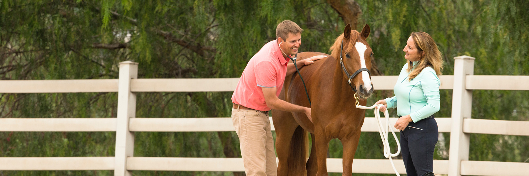 Direct Dispense Veterinary Resource Center